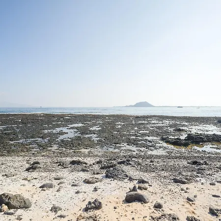 Apartamento Ineika In - Balcony & Poolside